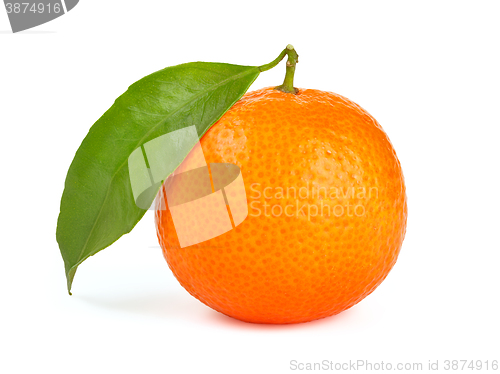 Image of Orange tangerine with leaf isolated