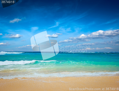 Image of Beautiful beach in summer