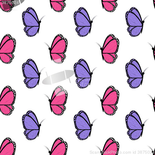 Image of bright pink and violet butterflies