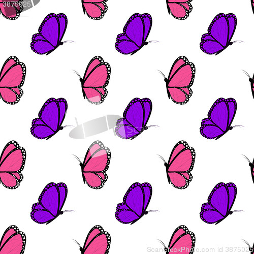 Image of bright pink and violet butterflies