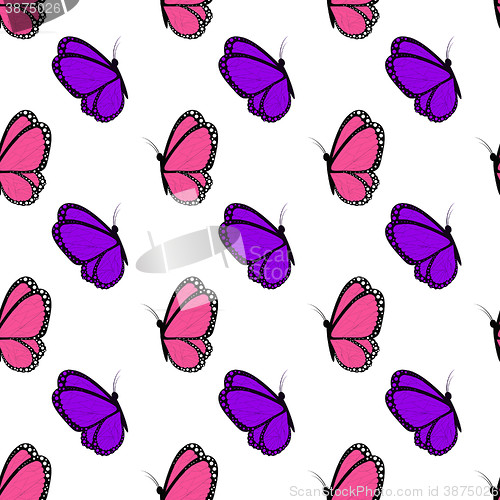 Image of bright pink and violet butterflies