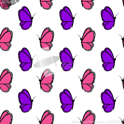 Image of bright pink and violet butterflies