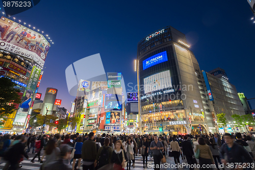 Image of Pedestrians at Shibuya Crossing, Tokio, Japan