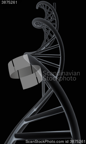 Image of DNA structure model