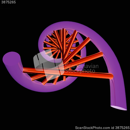 Image of DNA structure model