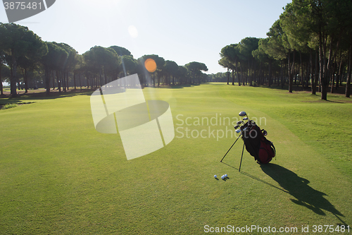 Image of golf bag on course