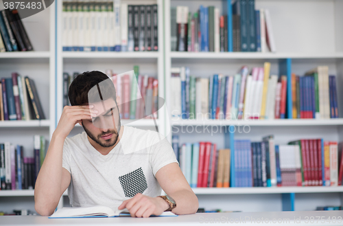 Image of student study  in school library