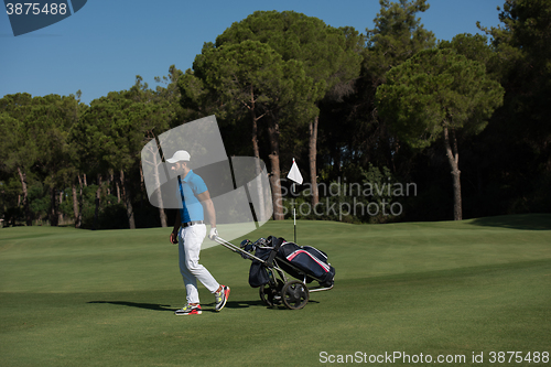 Image of golf player walking with wheel bag