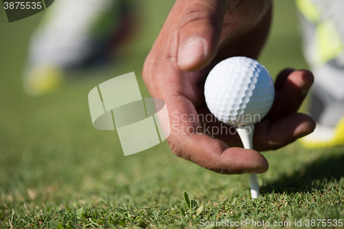 Image of golf player placing ball on tee