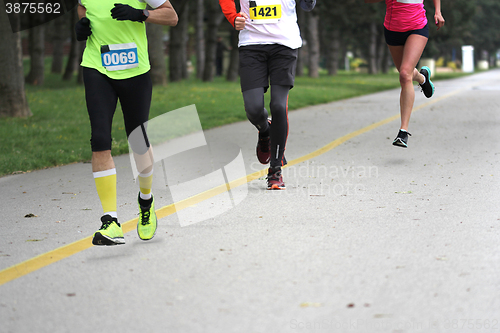 Image of Marathon Cross Country Running