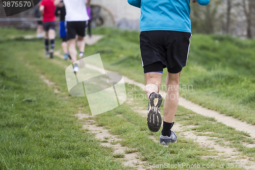 Image of Marathon Cross-Country Running