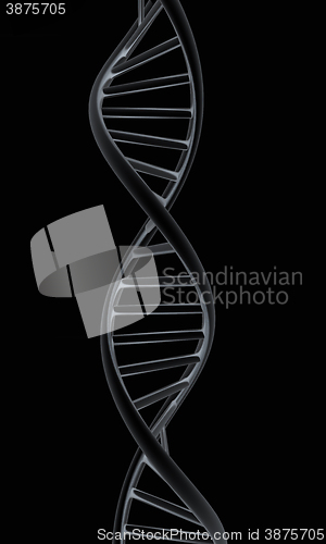 Image of DNA structure model