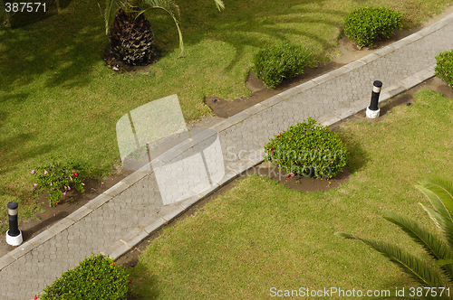 Image of Path in green park