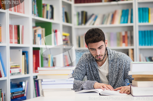 Image of portrait of student while reading book  in school library