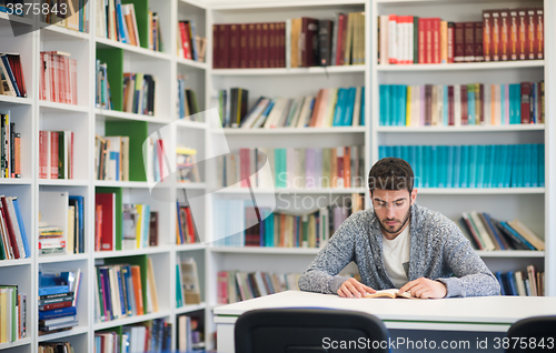 Image of portrait of student while reading book  in school library