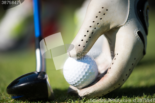 Image of golf player placing ball on tee