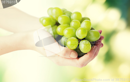 Image of close up of woman hands holding green grape bunch