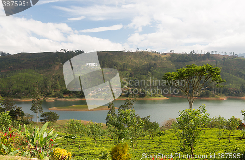 Image of view to lake or river from land hills on Sri Lanka