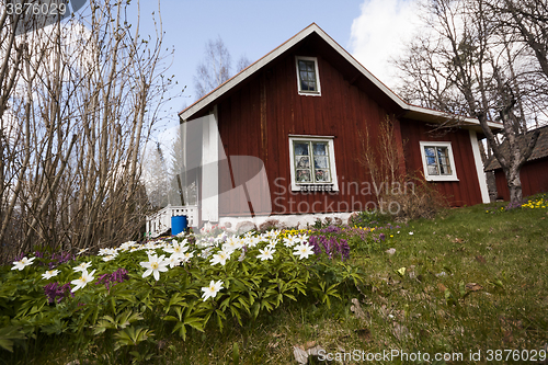 Image of spring in the garden