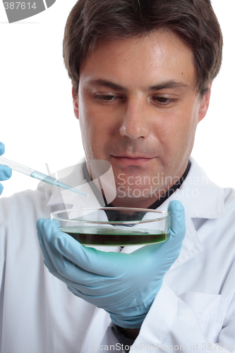 Image of Scientist researcher testing analysing lab work