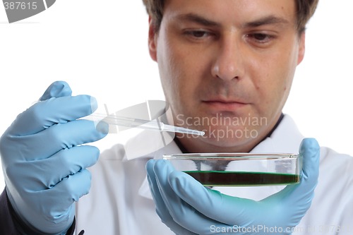 Image of Scientist or chemist with petri dish