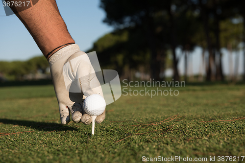 Image of close up of golf players hand placing ball on tee