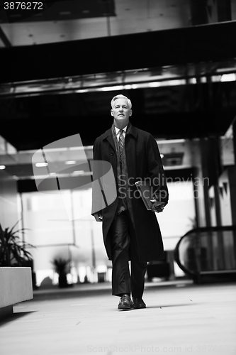 Image of handsome senior business man walking