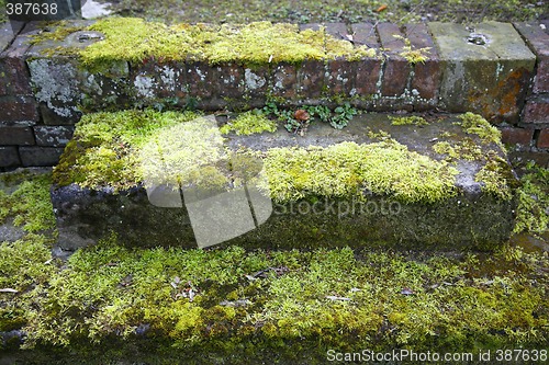 Image of Neglected grave - Potsdam, Germany