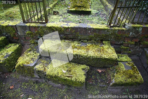 Image of Neglected grave - Potsdam, Germany