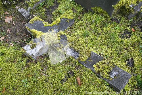 Image of Neglected grave Potsdam, Germany