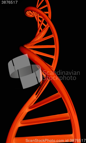 Image of DNA structure model