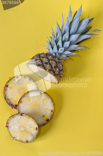 Image of Pineapple slices isolated 