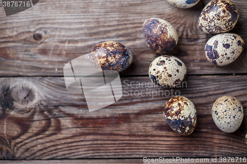 Image of Group of quail eggs on thewooden background