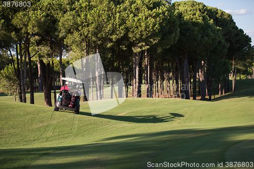 Image of couple in buggy on golf course