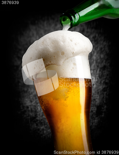 Image of Pouring beer on black