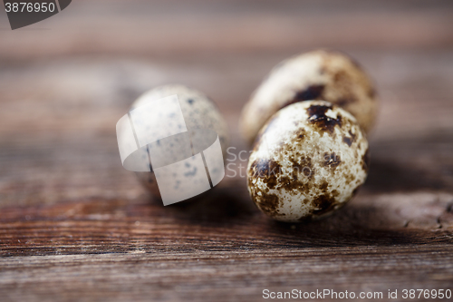 Image of Group of quail eggs on thewooden background