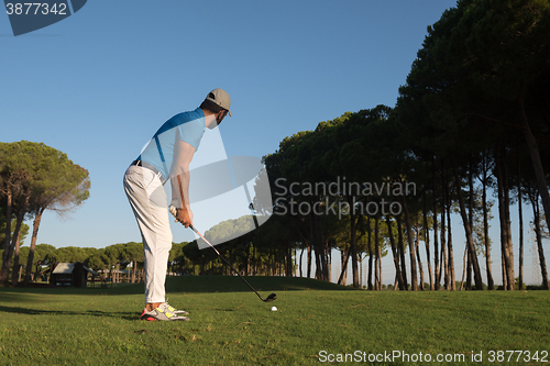 Image of golf player