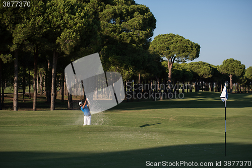 Image of pro golfer hitting a sand bunker shot