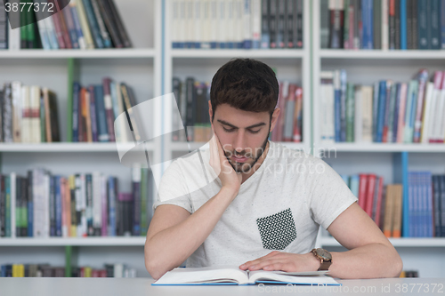 Image of student study  in school library