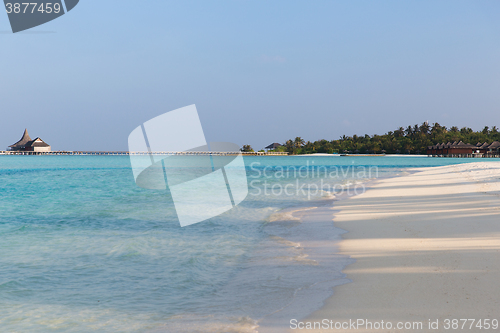 Image of maldives island beach with palm tree and villa