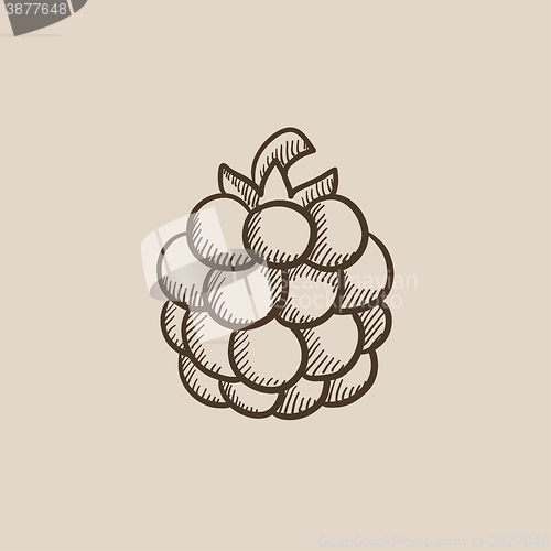 Image of Raspberry sketch icon.