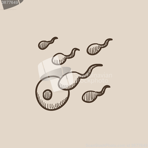 Image of Fertilization sketch icon.