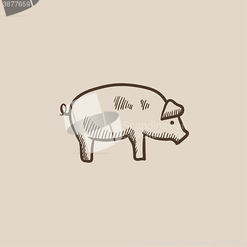 Image of Pig sketch icon.