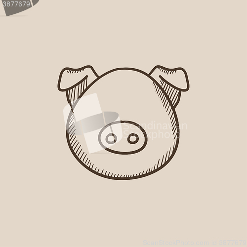 Image of Pig head sketch icon.