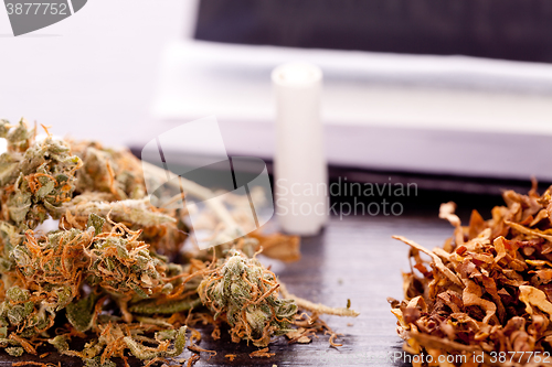 Image of Dried Cannabis on Rolling Paper with Filter