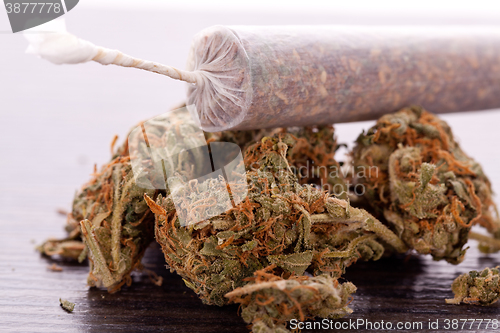 Image of Close up of dried marijuana leaves and joint