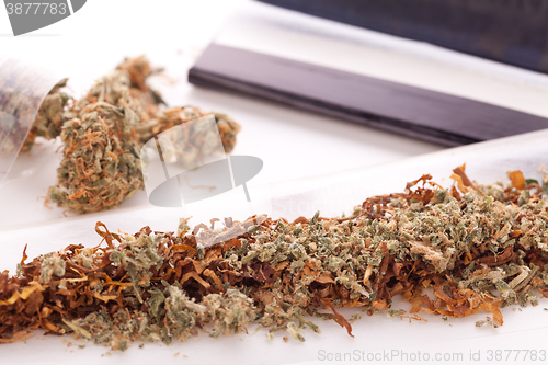 Image of Dried Cannabis on Rolling Paper with Filter