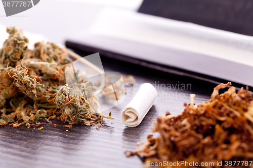 Image of Dried Cannabis on Rolling Paper with Filter