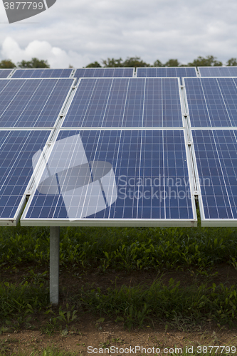 Image of Field with blue siliciom solar cells alternative energy