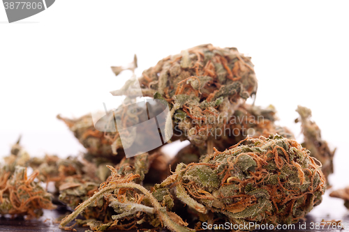 Image of Close up Dried Marijuana Leaves on the Table